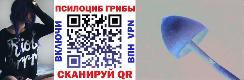 Галлюциногенные грибы Cubensis Купить где Карпинск